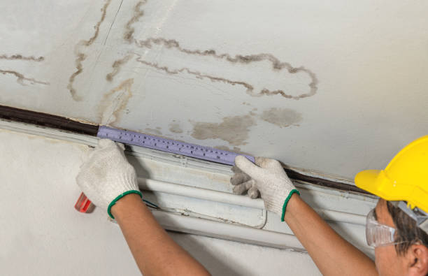Reliable Mold Remediation contractor in Flat Rock, NC by Water Damage Irwin
